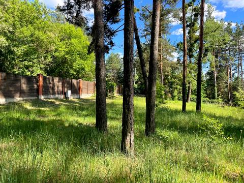 участок по адресу Мазепи