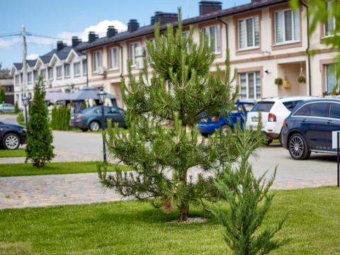 дом по адресу Ясна ул.