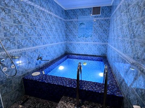 дом по адресу Камишова