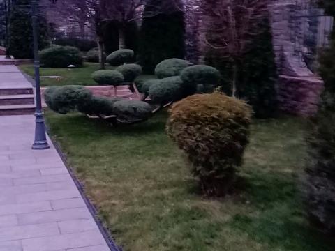 дом по адресу Межева