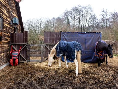 будинок за адресою Броварський