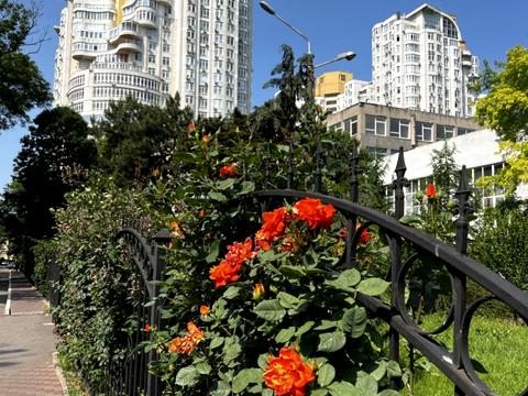 квартира за адресою Французький бульв., 22/3