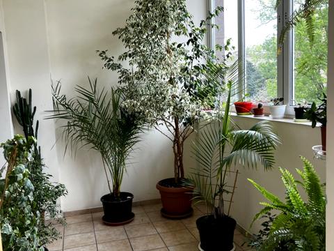 квартира за адресою Французький бульв., 22/3