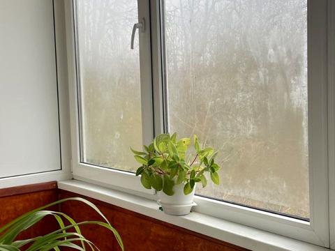 квартира за адресою Іцхака Рабіна вул., 43