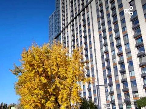 квартира по адресу Академика Заболотного ул., 1-Б