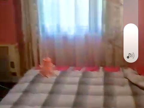 дом по адресу Іваниківська, 11