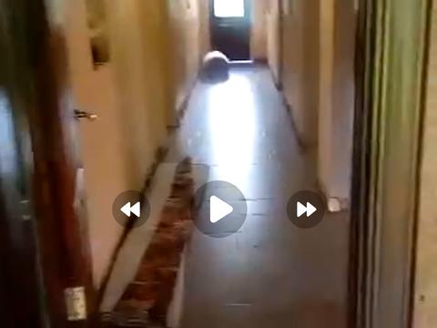 дом по адресу Іваниківська, 11