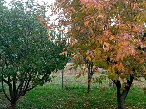 дом по адресу незалежності