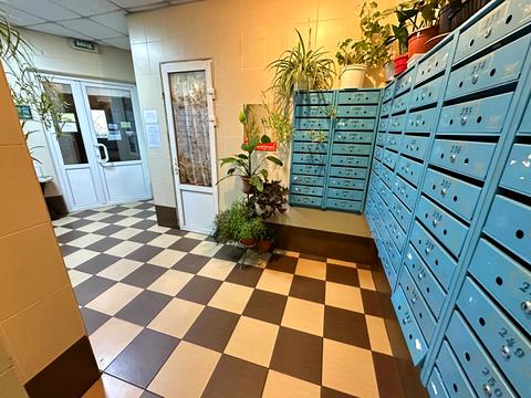 квартира за адресою Княжий Затон вул., 9