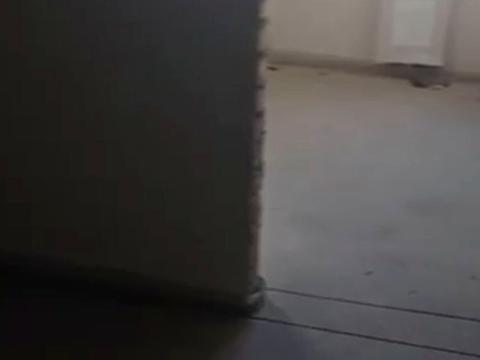 квартира за адресою Володимира Сосюри вул., 6-Б