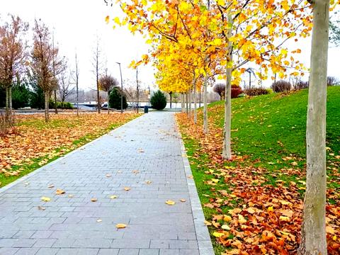 квартира за адресою Набережна Перемоги вул., 44-В