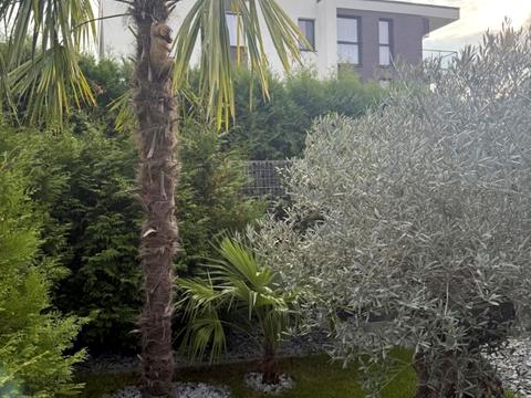 будинок за адресою Ужгород, Запорізька вул.