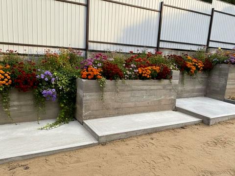 будинок за адресою Польова