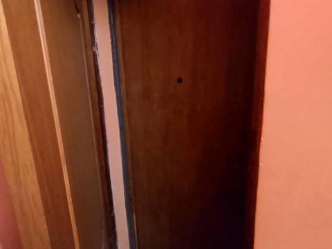 квартира по адресу Сегедская ул., 16