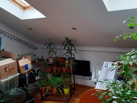 квартира по адресу Антоновича ул. (Сталинградской битвы), 9