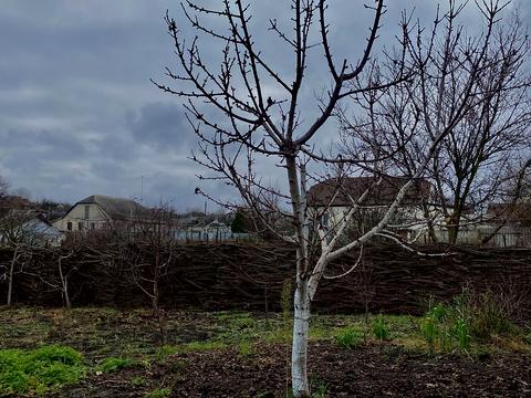 дом по адресу Дергачи, Хлібороба