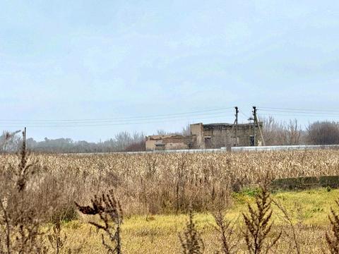 комерційна за адресою Набережна, 8