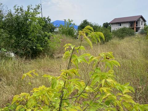 участок по адресу Північна ул.