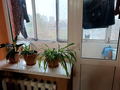 квартира за адресою Гетьмана Павла Полуботка вул. (Попудренка), 32