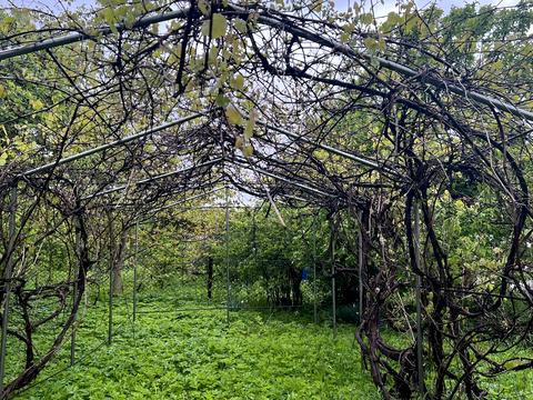 будинок за адресою Заводська, 14