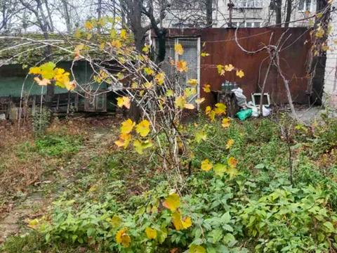 дом по адресу Телевизионная ул.