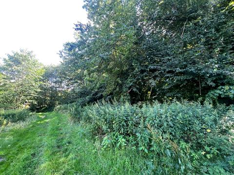 ділянка за адресою 