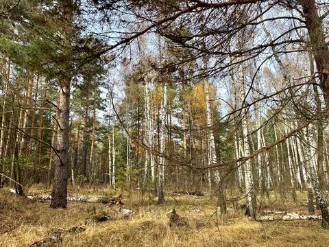 ділянка за адресою с. Королівка, 