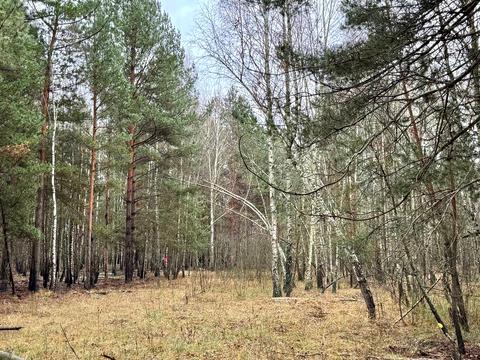 ділянка за адресою с. Королівка, 