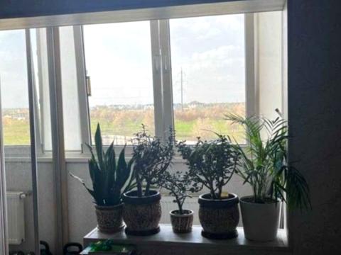 квартира по адресу Трамвайная ул., 15в