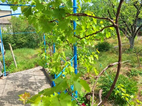 дом по адресу десятая