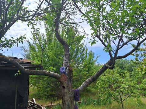 дом по адресу десятая