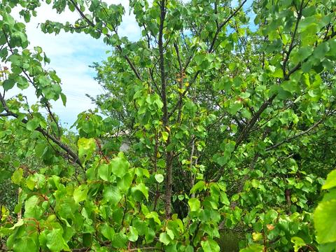 дом по адресу десятая