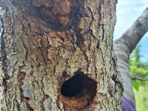 дом по адресу десятая