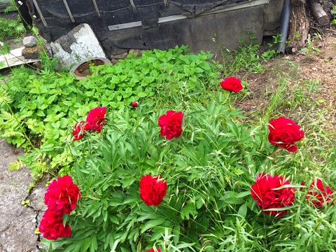 дом по адресу десятая