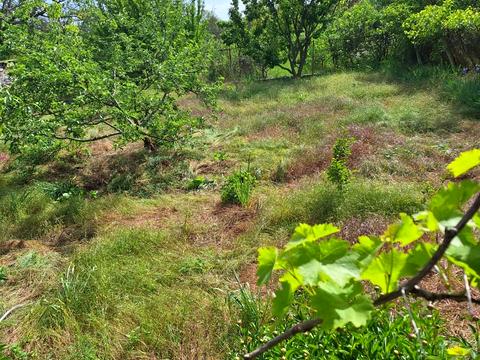 дом по адресу десятая