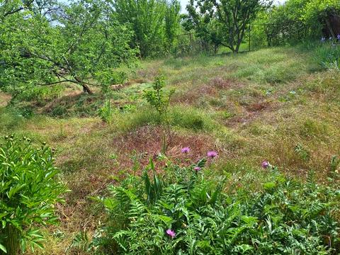 дом по адресу десятая