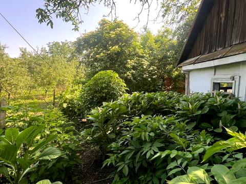 участок по адресу Шкільна, 7