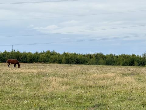 ділянка за адресою с. Забороль, 