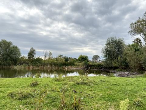 ділянка за адресою с. Забороль, 