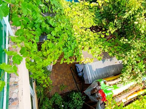 дом по адресу с. Гнедин, Олександрівська, 40