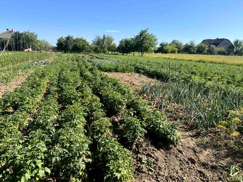 будинок за адресою Шевченка
