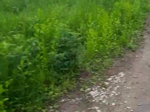 участок по адресу пгт. Гостомель, Ярмаркова, 30а