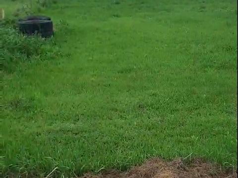 участок по адресу пгт. Гостомель, Ярмаркова, 30а