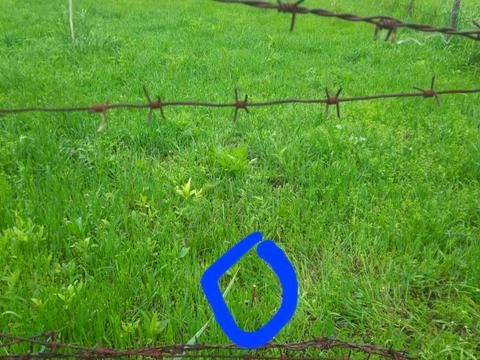 участок по адресу пгт. Гостомель, Ярмаркова, 30а