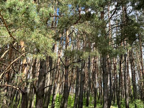 будинок за адресою Михайла Старицького, 40