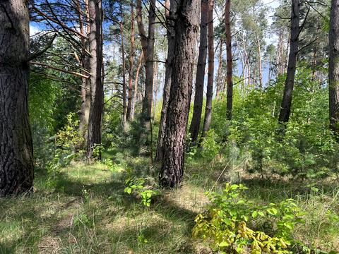 будинок за адресою Михайла Старицького, 40