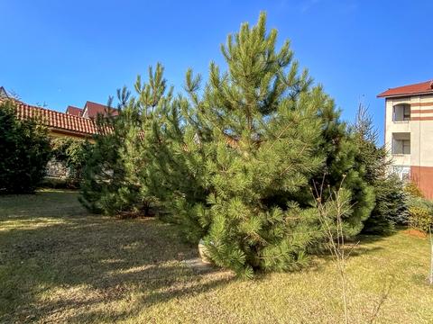 квартира за адресою Розваги вул., 27