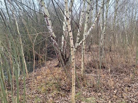 участок по адресу пгт. Козин, 