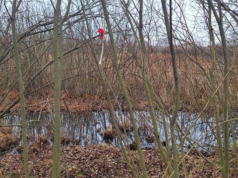 участок по адресу пгт. Козин, 