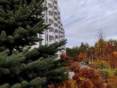 квартира за адресою Мисливська вул., (Будинок 2)